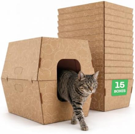 Bulk pack cardboard high sided boxes