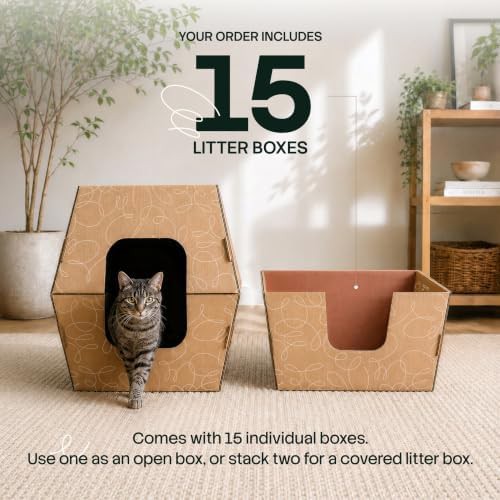 Bulk pack cardboard high sided boxes — photo 4