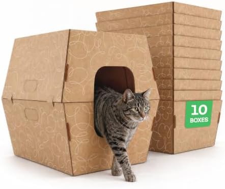 Cats Desire