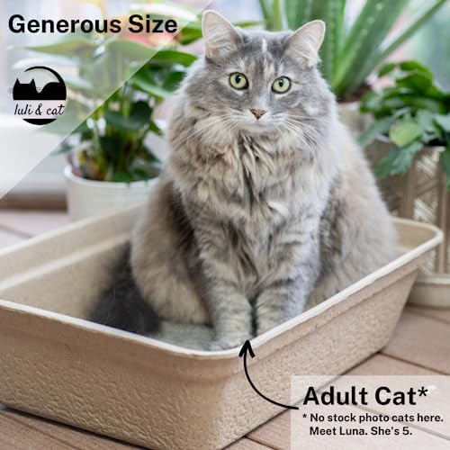 Jumbo disposable cardboard litter box four pack — photo 5