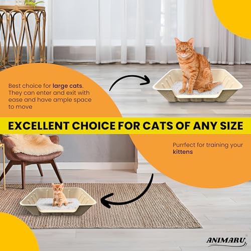 Jumbo low entry disposable cardboard litter boxes — photo 4