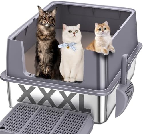 KITCATY