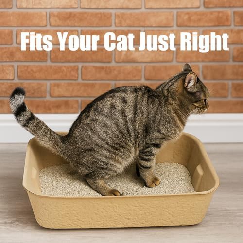Small Disposable Kitten Litter Boxes 6 Pack — photo 3