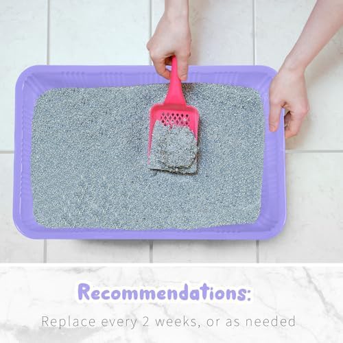Light Purple Disposable Kitten Litter Boxes — photo 5